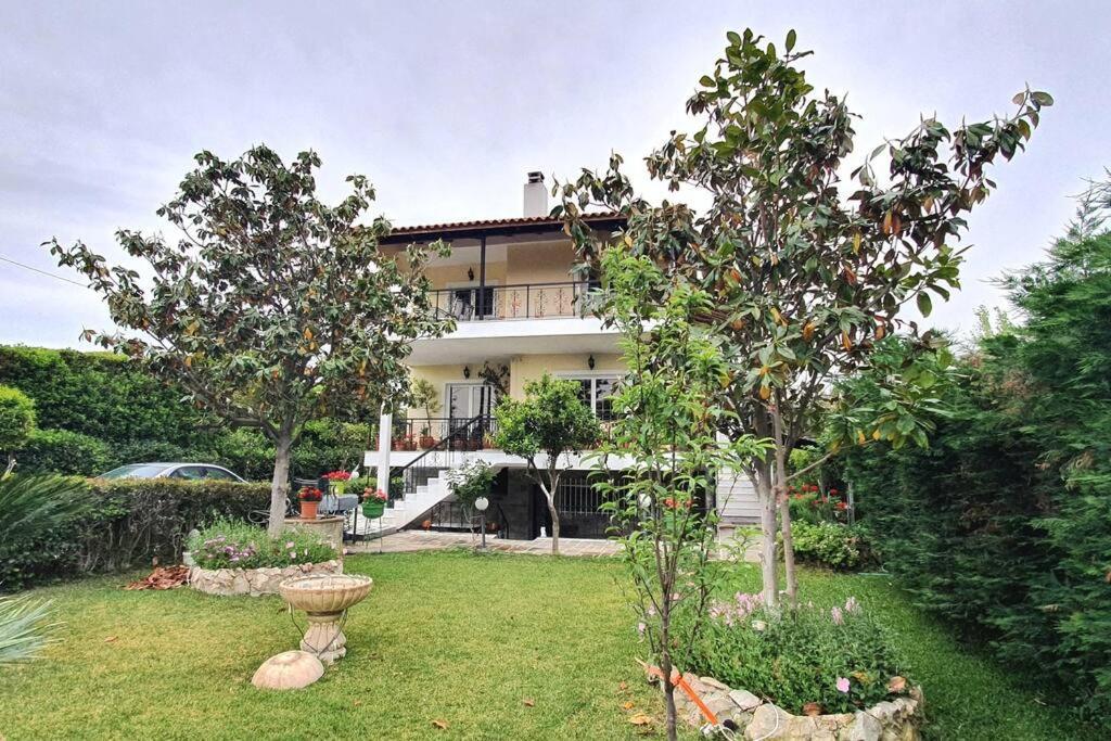 Vacation Studio Oropos Nea Palatia Buitenkant foto