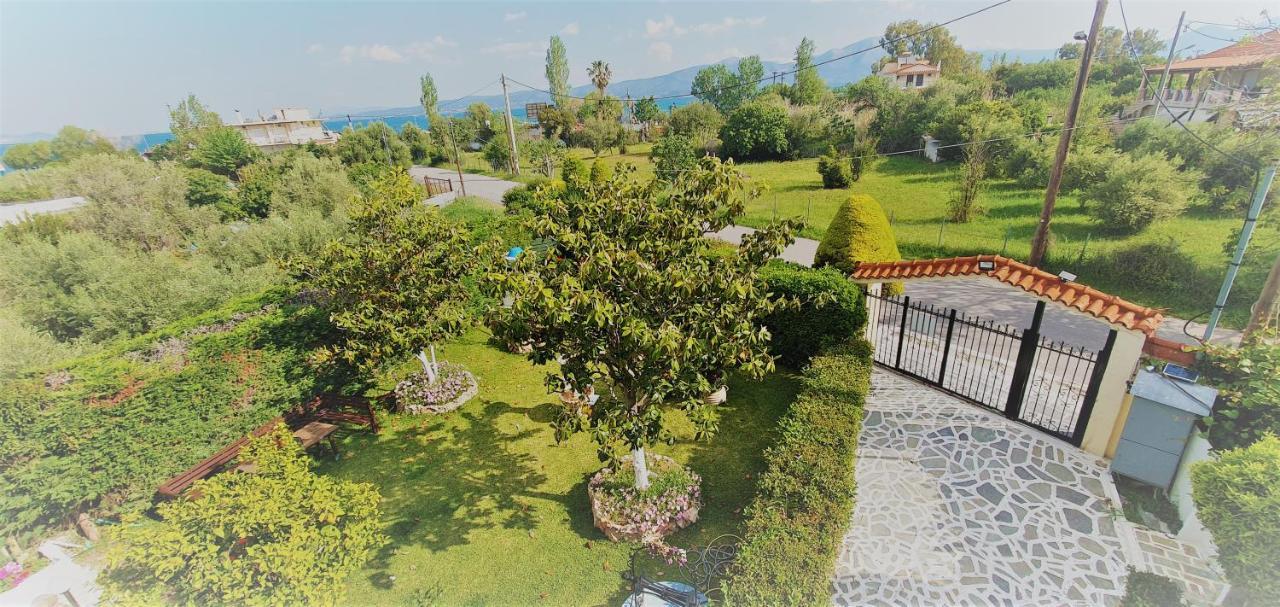Vacation Studio Oropos Nea Palatia Buitenkant foto